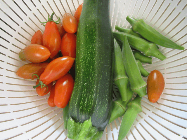 ズッキーニと小さな野菜の画像